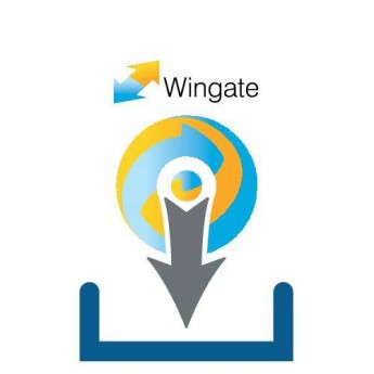 Программное обеспечение WENGLOR DNNF010 для датчиков и камер 548772 Программное обеспечение WENGLOR DNNF010 для датчиков и камер 548772